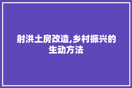 射洪土房改造,乡村振兴的生动方法