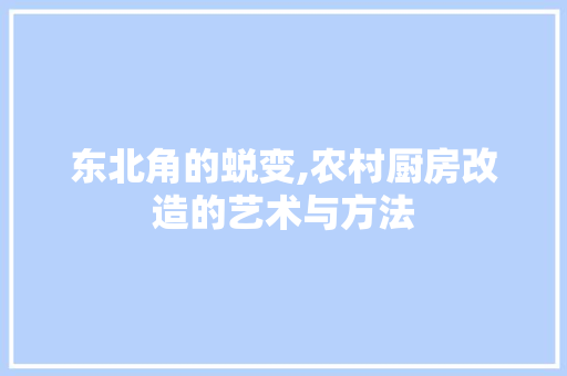 东北角的蜕变,农村厨房改造的艺术与方法
