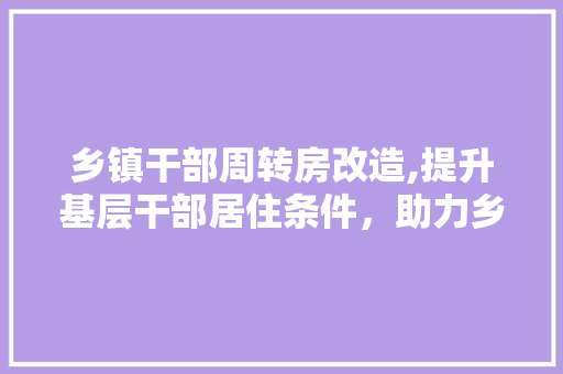 乡镇干部周转房改造,提升基层干部居住条件，助力乡村振兴