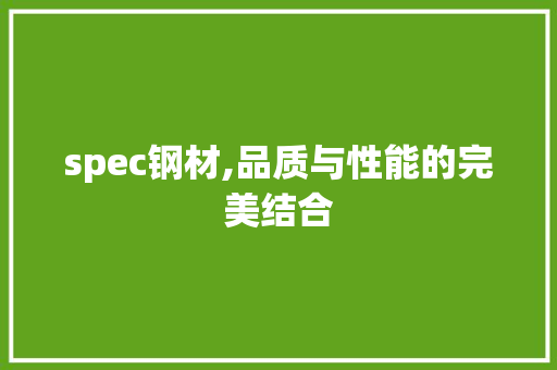 spec钢材,品质与性能的完美结合