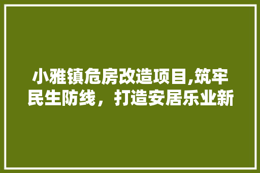 小雅镇危房改造项目,筑牢民生防线，打造安居乐业新家园