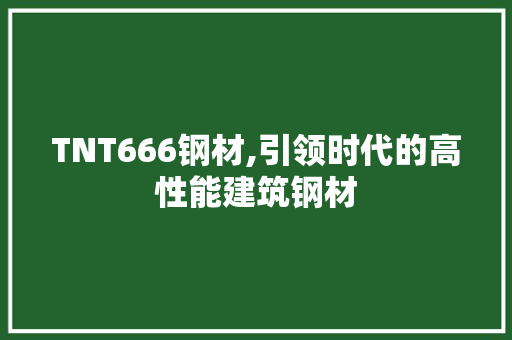 TNT666钢材,引领时代的高性能建筑钢材
