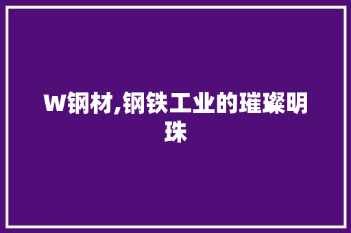 W钢材,钢铁工业的璀璨明珠
