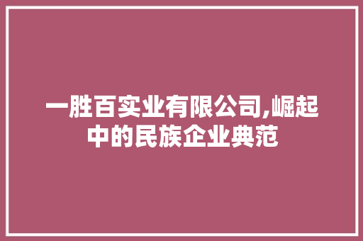 一胜百实业有限公司,崛起中的民族企业典范