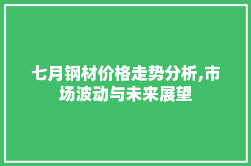 七月钢材价格走势分析,市场波动与未来展望
