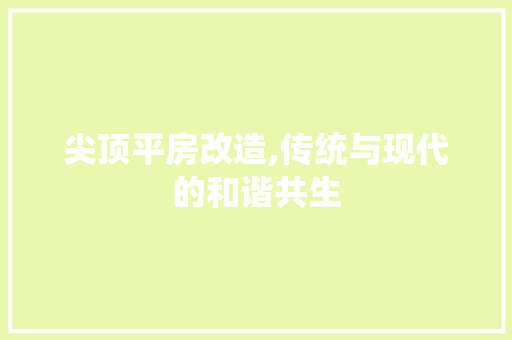 尖顶平房改造,传统与现代的和谐共生