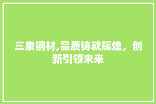 三泉钢材,品质铸就辉煌，创新引领未来