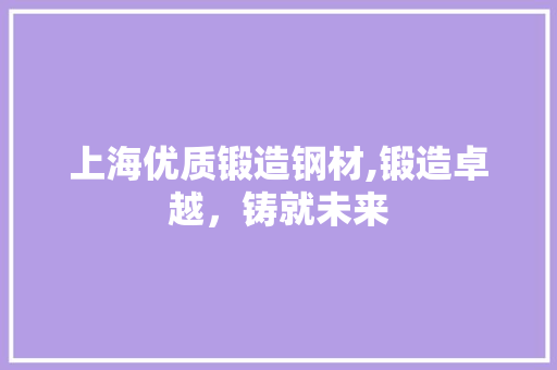 上海优质锻造钢材,锻造卓越，铸就未来