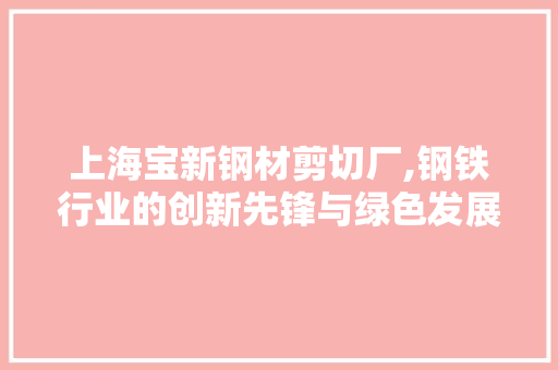 上海宝新钢材剪切厂,钢铁行业的创新先锋与绿色发展方法