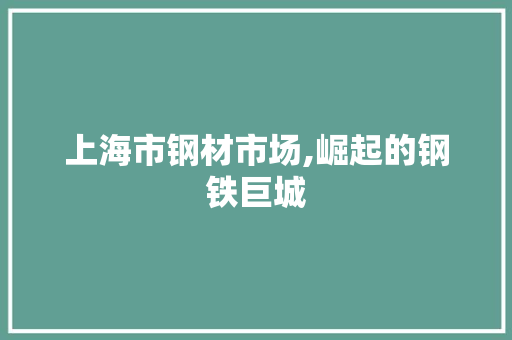 上海市钢材市场,崛起的钢铁巨城