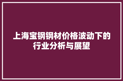 上海宝钢钢材价格波动下的行业分析与展望