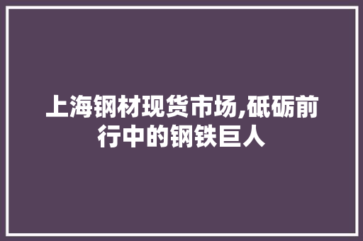 上海钢材现货市场,砥砺前行中的钢铁巨人