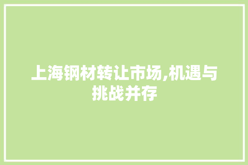 上海钢材转让市场,机遇与挑战并存 墙面装饰