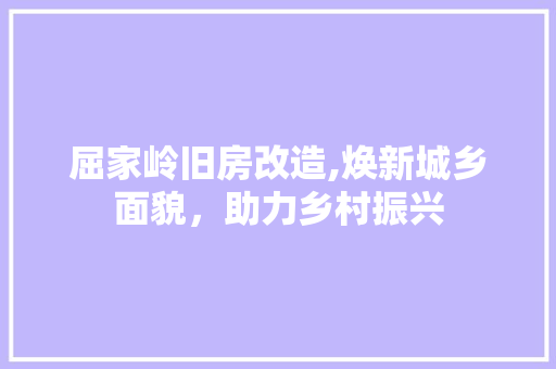 屈家岭旧房改造,焕新城乡面貌，助力乡村振兴