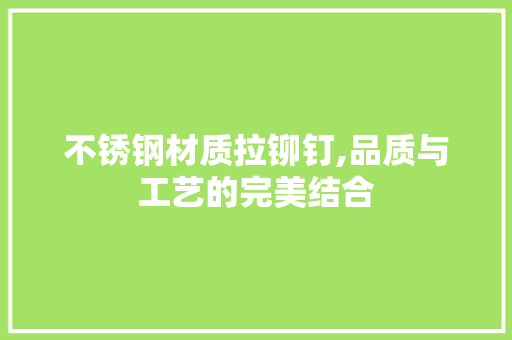 不锈钢材质拉铆钉,品质与工艺的完美结合