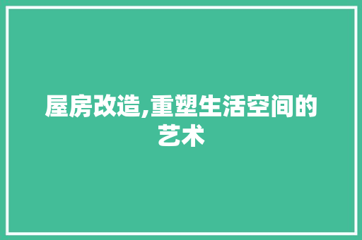屋房改造,重塑生活空间的艺术 建筑设计