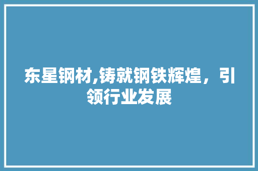 东星钢材,铸就钢铁辉煌，引领行业发展