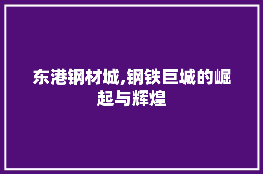 东港钢材城,钢铁巨城的崛起与辉煌