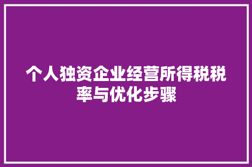 个人独资企业经营所得税税率与优化步骤