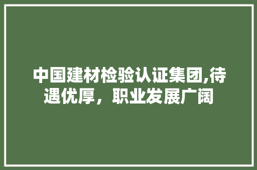 中国建材检验认证集团,待遇优厚，职业发展广阔