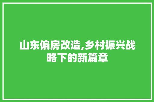山东偏房改造,乡村振兴战略下的新篇章