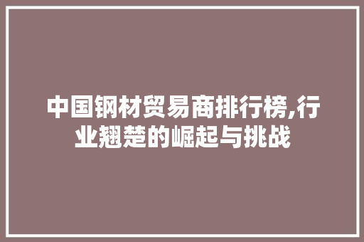 中国钢材贸易商排行榜,行业翘楚的崛起与挑战