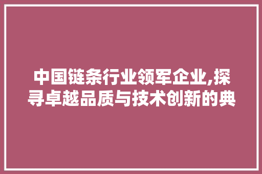 中国链条行业领军企业,探寻卓越品质与技术创新的典范