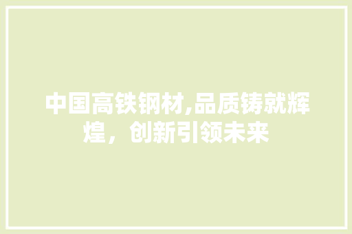 中国高铁钢材,品质铸就辉煌，创新引领未来