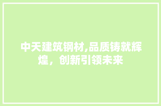 中天建筑钢材,品质铸就辉煌，创新引领未来