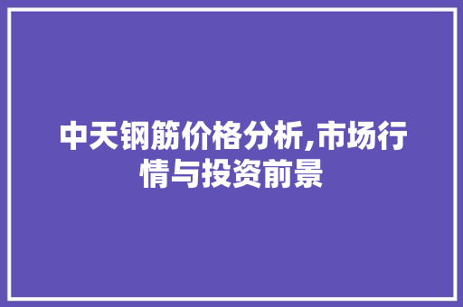 中天钢筋价格分析,市场行情与投资前景