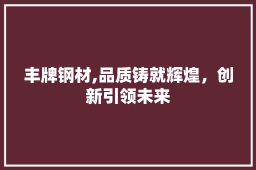 丰牌钢材,品质铸就辉煌，创新引领未来