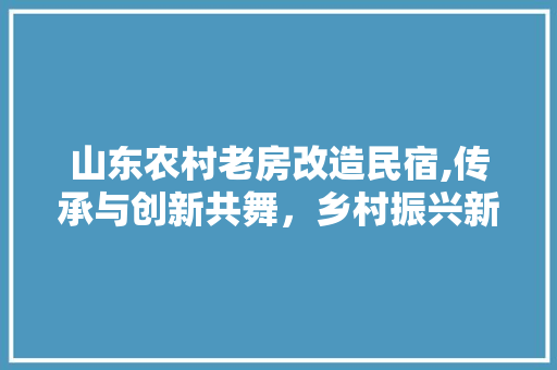山东农村老房改造民宿,传承与创新共舞，乡村振兴新篇章
