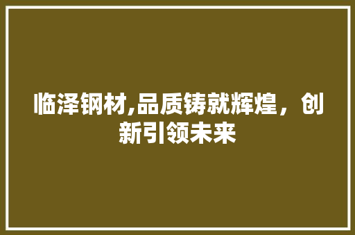 临泽钢材,品质铸就辉煌，创新引领未来