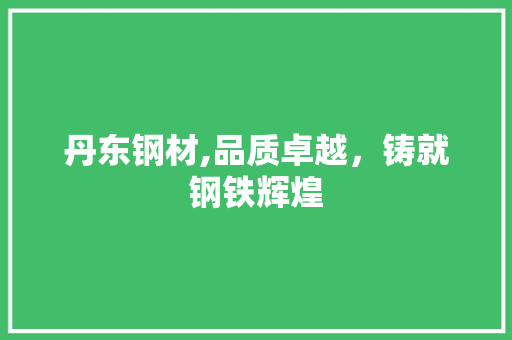 丹东钢材,品质卓越，铸就钢铁辉煌