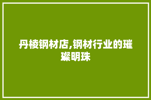 丹棱钢材店,钢材行业的璀璨明珠 地面装修