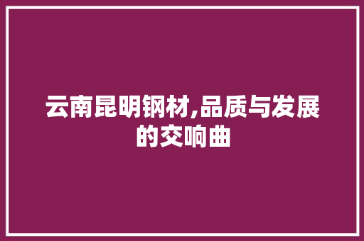 云南昆明钢材,品质与发展的交响曲
