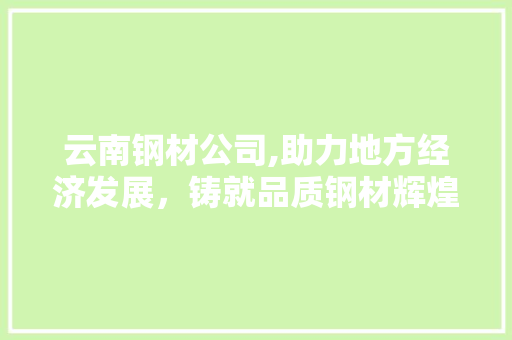 云南钢材公司,助力地方经济发展，铸就品质钢材辉煌
