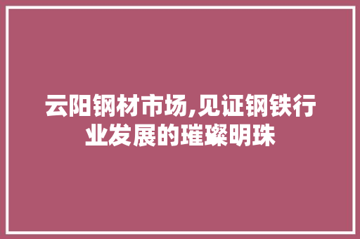 云阳钢材市场,见证钢铁行业发展的璀璨明珠