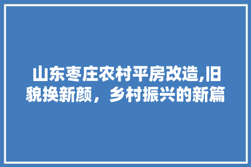 山东枣庄农村平房改造,旧貌换新颜，乡村振兴的新篇章