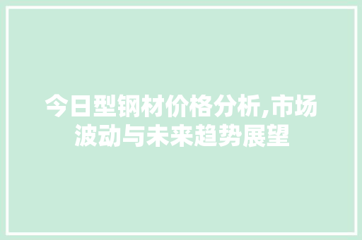 今日型钢材价格分析,市场波动与未来趋势展望