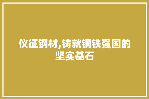 仪征钢材,铸就钢铁强国的坚实基石