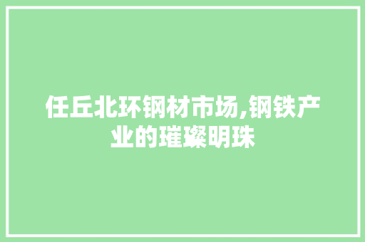 任丘北环钢材市场,钢铁产业的璀璨明珠