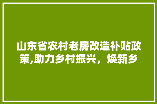 山东省农村老房改造补贴政策,助力乡村振兴，焕新乡村面貌