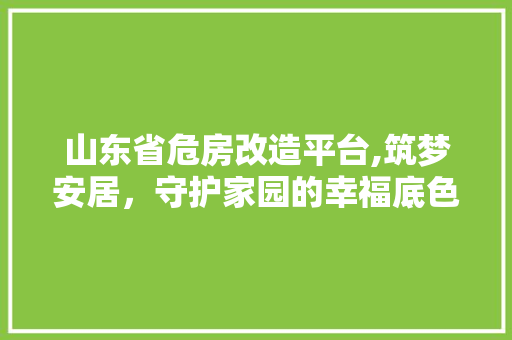山东省危房改造平台,筑梦安居，守护家园的幸福底色