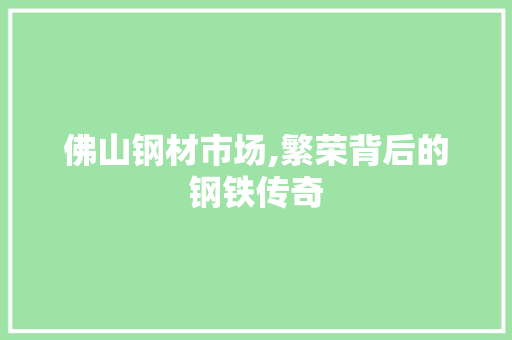 佛山钢材市场,繁荣背后的钢铁传奇 景观设计