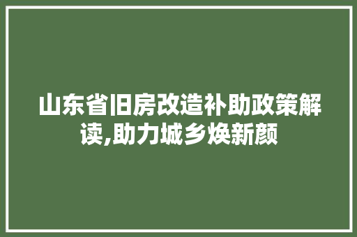 山东省旧房改造补助政策解读,助力城乡焕新颜