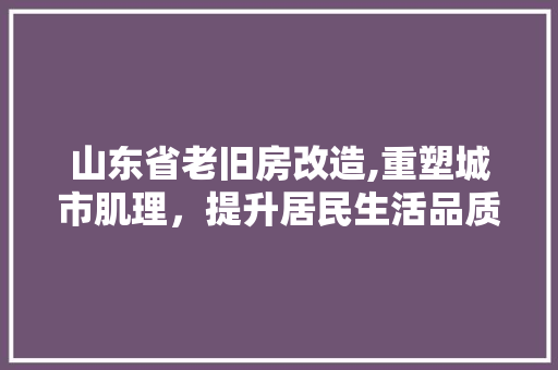 山东省老旧房改造,重塑城市肌理，提升居民生活品质