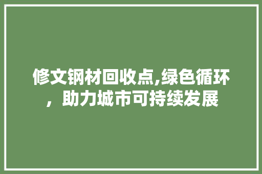 修文钢材回收点,绿色循环，助力城市可持续发展