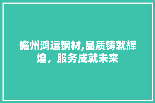 儋州鸿运钢材,品质铸就辉煌，服务成就未来