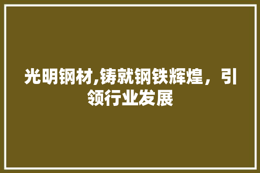 光明钢材,铸就钢铁辉煌，引领行业发展